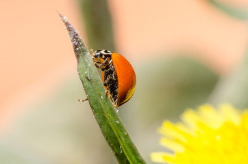 Mundo macro