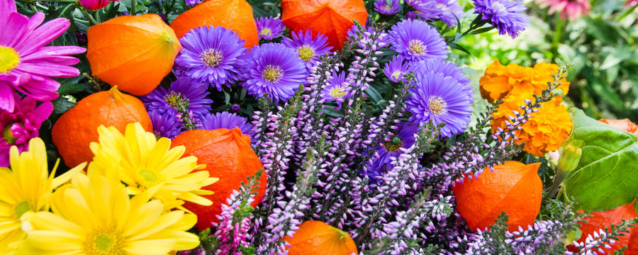 Blumen im Herbst