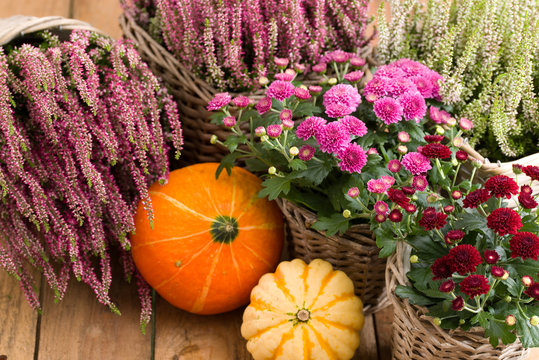 Herbstliche Dekoration mit Heidekraut
