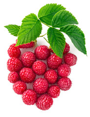 Berry raspberry top view green leaf creative idea healthy food.