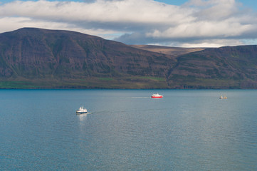 Fototapeta na wymiar Whale Watching boats in Eyjafjordur Iceland