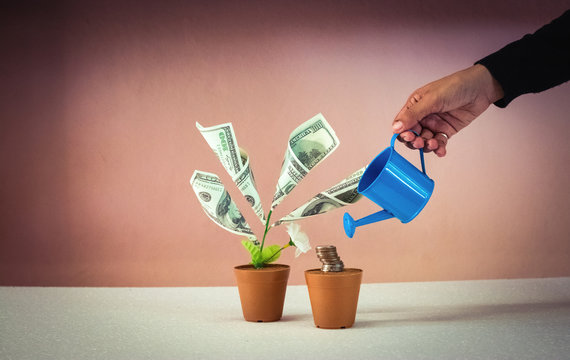 Human hand with a pot watering growing money tree.