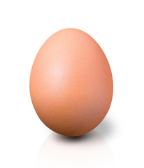 Close up Egg on white background, isolated, fresh egg
