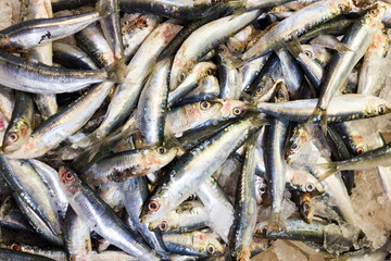 Sea fish on market stalls