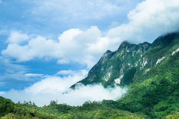 Fototapety  The fog over green mountain at sunset in north of Thailand