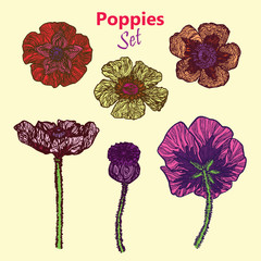 Poppies set, hand drawn doodle, sketch in pop art style, vector illustration (pink, yellow, red), isolated on yellow