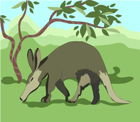 the aardvark