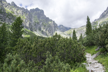 Mala studena dolina hiking trail in High Tatras, summer touristic season, wild nature, touristic trail © Iva