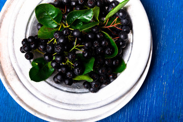Chokeberry in silver metal bowl on blue wooden background. Aronia berry with leaf. Top view. Copy space.