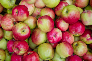 Top view of green-red apples. Apples background texture