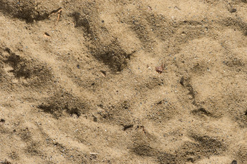 hintergrund struktur körnung