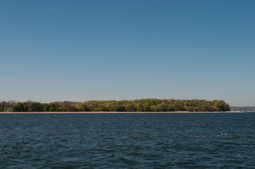 Forest near Praestoe Fjord in Denmark
