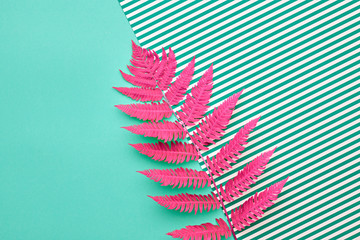 Fern Tropical Leaf. Floral Leaves Fashion Concept. Vivid Design. Art Gallery. Creative Bright Color. Minimal Style. Pink Summer fashion