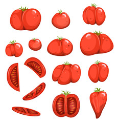 Red Tomatoes Set