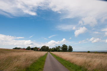 road leading to village of Naesby on Oroe in Denmark
