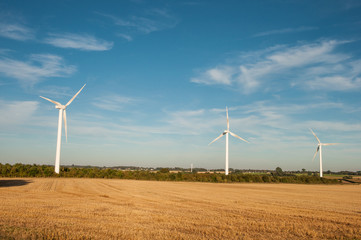 windmills in Danish landscape