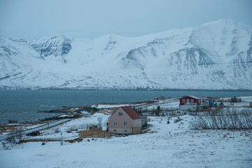 Houses on the island of Hrisey in Iceland