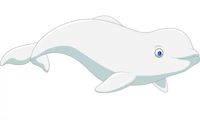 Badezimmer Foto Rückwand Cartoon beluga isolated on white background © tigatelu