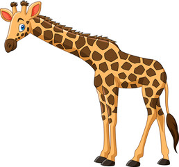 Fototapeta premium Cartoon giraffe isolated on white background
