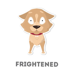 Isolated frightened dog.