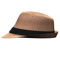 Fedora Straw Beach Hat