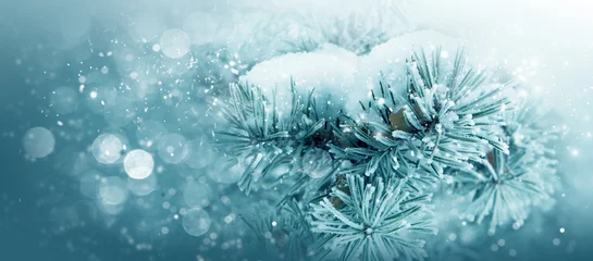 Foto auf Acrylglas Winter Winternatur, Bäume im Schneefrost, Banner