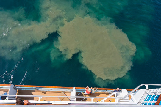 Le navi da crociera inquinano
