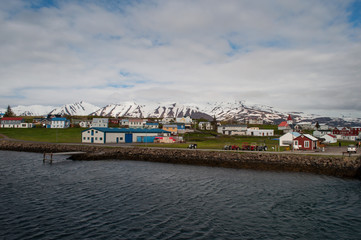 Obraz premium Village of Hrisey in Iceland