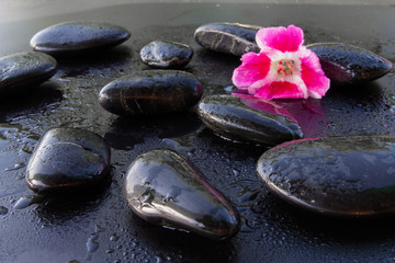 Stones for relaxation massage spa on a dark background with water drops