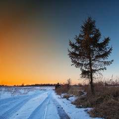 traces of the car wheels on a snowy road