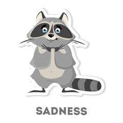 Isolated sad raccoon.
