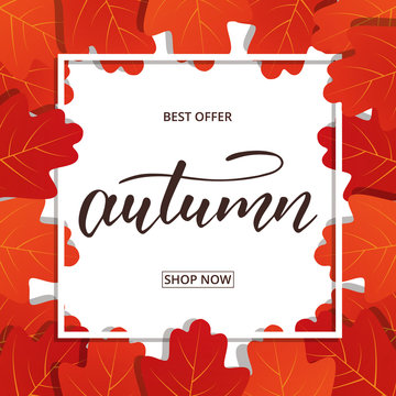 Autumn. Banner with oak leaves frame and trendy Autumn brush lettering. Seasonal Fall sale card