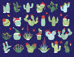 Christmas or Holiday Themed Cactus and Succulent Collection - 171218296