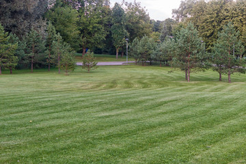 a green lawn with large trees