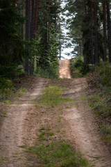 country road in forest