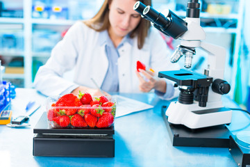 Strawberry fruit research in laboratory. Food Processing and Quality Control