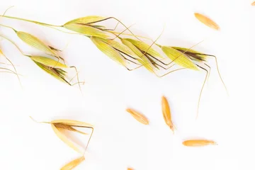 Fototapeten Spikes and grains of oats on a white background. Top view © 201122