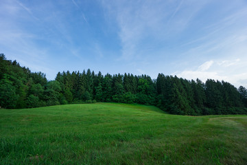 Germany - Edge of the black forest with green meadows at dawn with blue sky