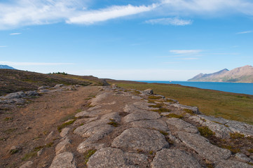 Fototapeta na wymiar rock formation from last ice age on island of Hrisey in Iceland