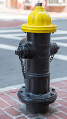 Yellow and Black Fire Hydrant in Boston MA