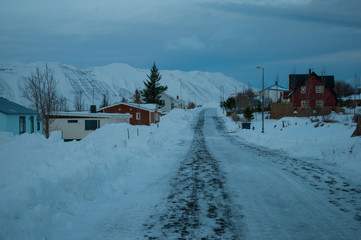 Naklejka premium village of Hrisey in Iceland during winter