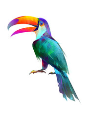 drawn isolated bright bird sitting Toucan side