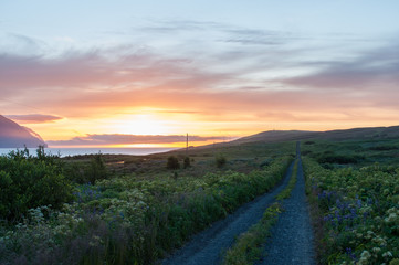 Naklejka na ściany i meble road to the sunset on island of Hrisey in Iceland