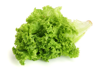 Fresh lettuce isolated on white background. Salad leaf
