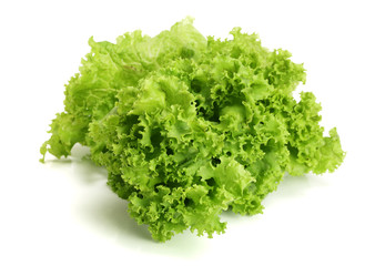 Fresh lettuce isolated on white background. Salad leaf