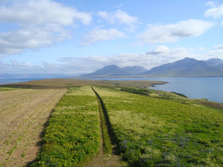 Island of Hrisey in Iceland