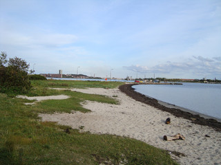 Beach of Egholm near Aalborg in Denmark