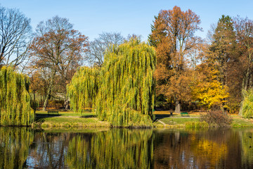 Jesień w parku © Senatorek
