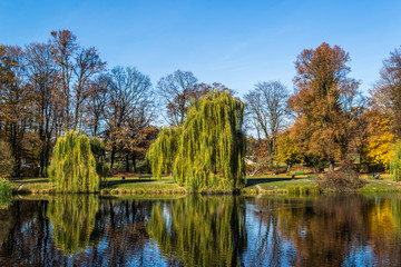 Jesień w parku © Senatorek