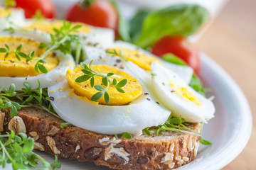 Makro Eibrot mit Kresse